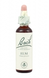 Elm (Jilm)